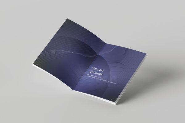 rapport-annuel-RFSM-autre