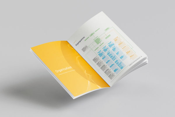 rapport-annuel-RFSM-organisation