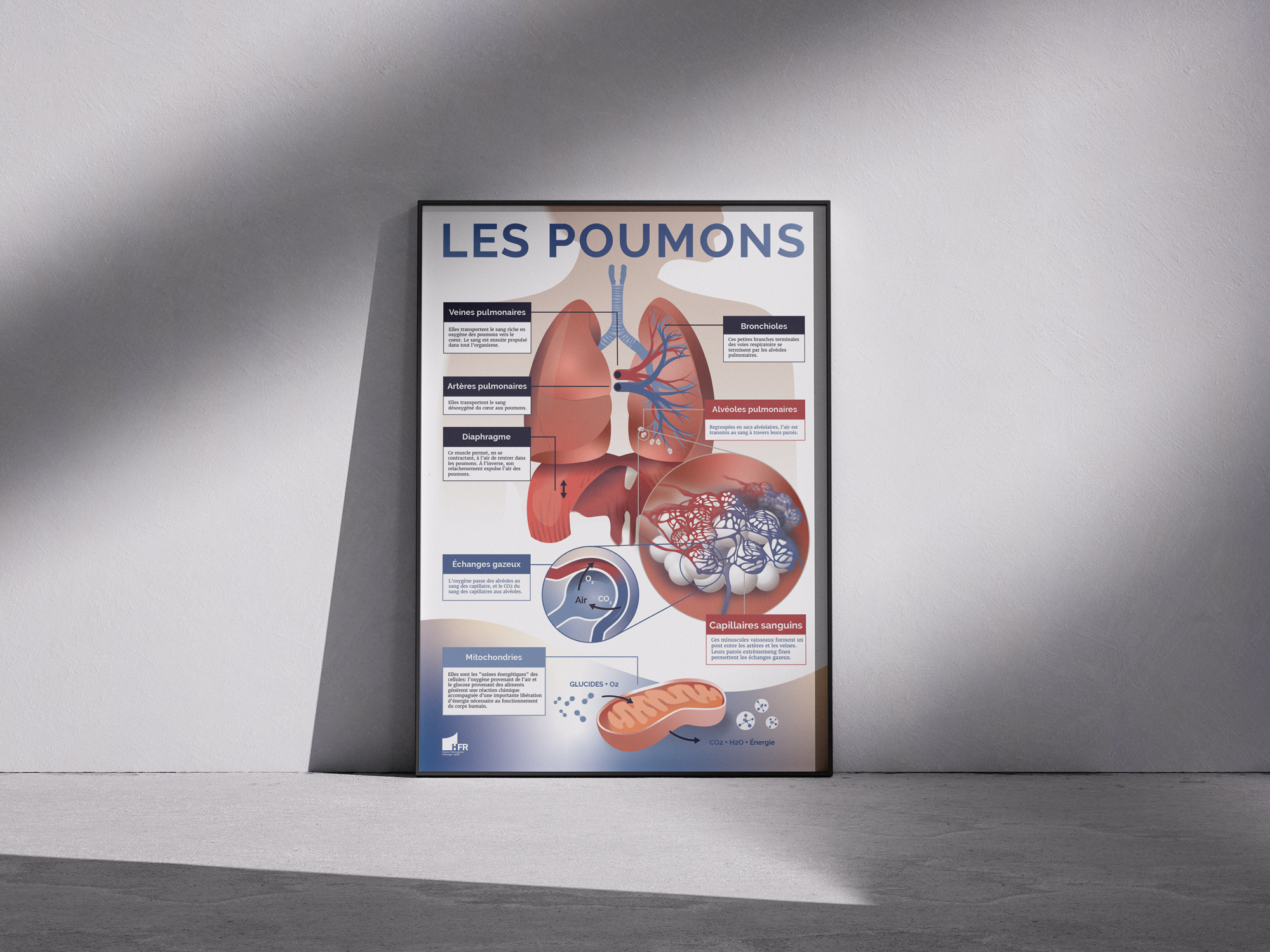 Infographies et illustrations scientifiques