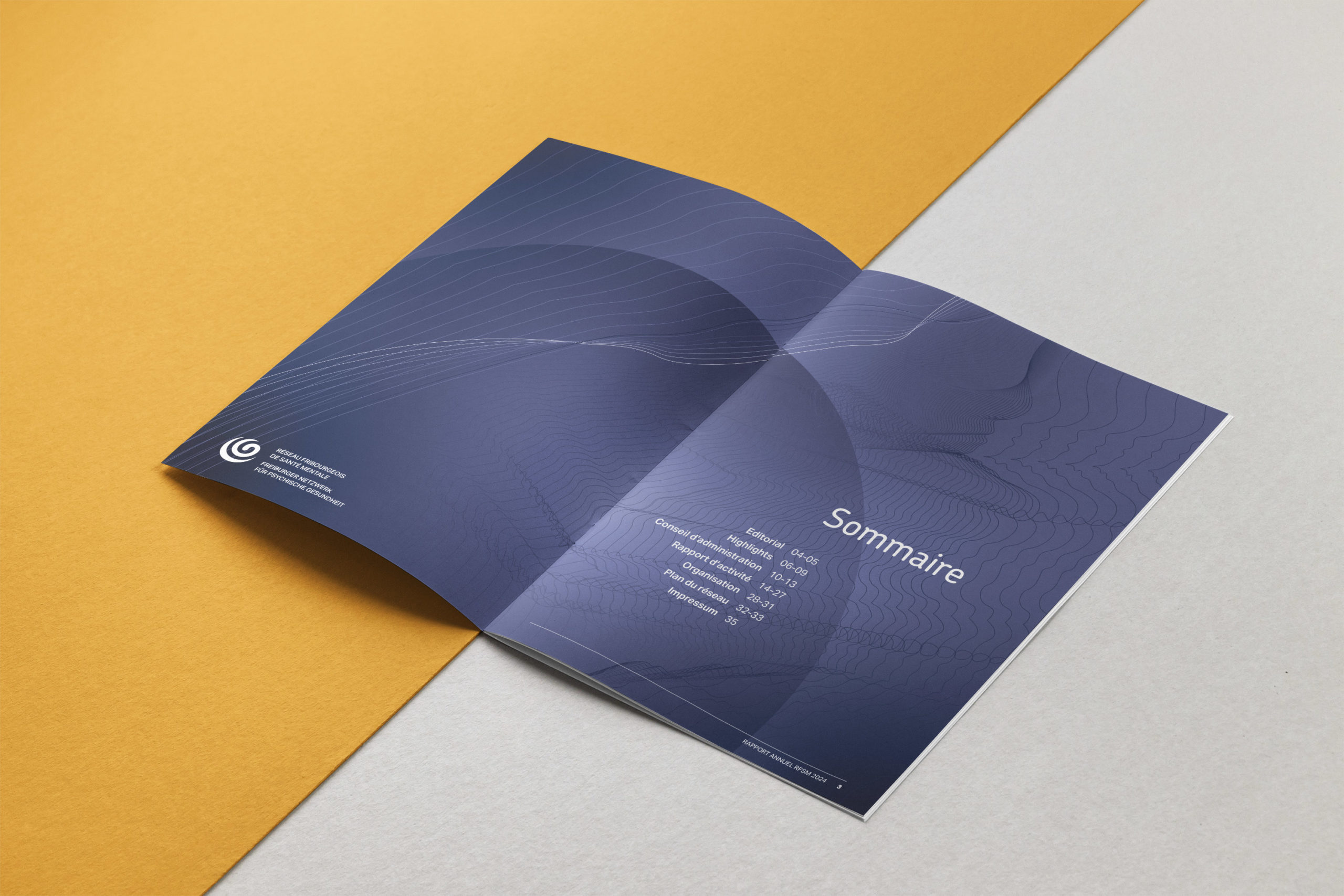 Rapport annuel du RFSM